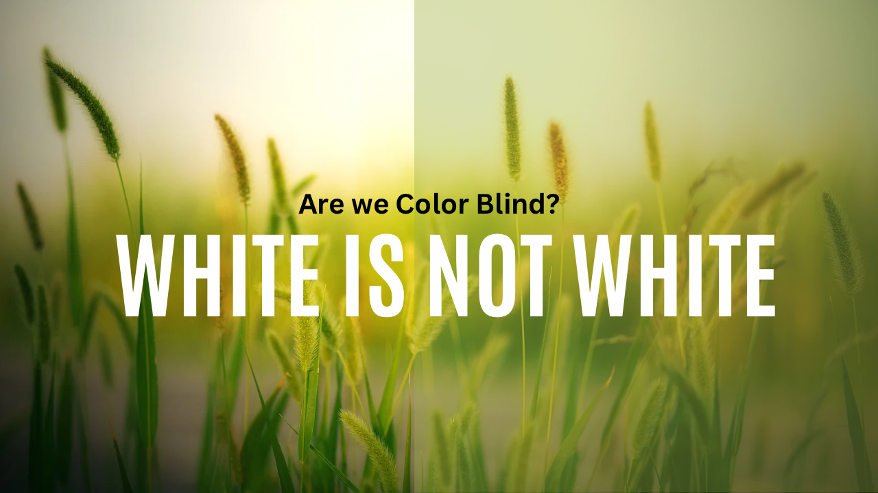 Exploring the Illusion of "White" in Human Skin Color