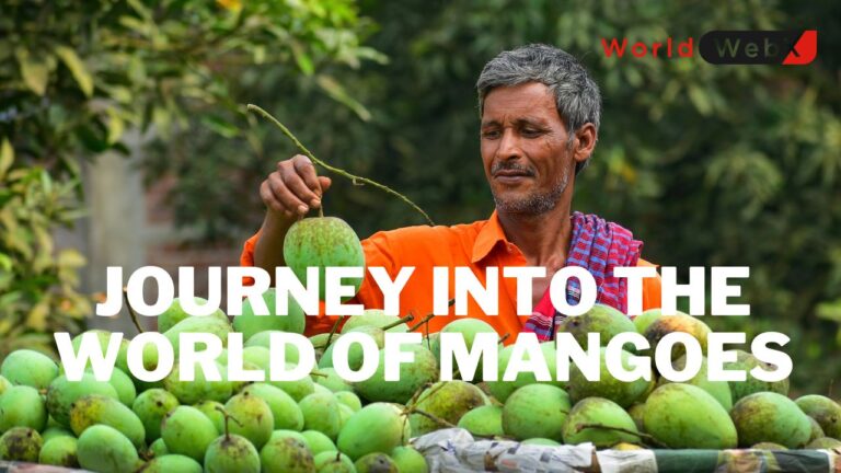 Mango Capital Chronicles: Unraveling the Secrets of the King of Fruits