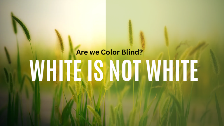 Exploring the Illusion of “White” in Human Skin Color